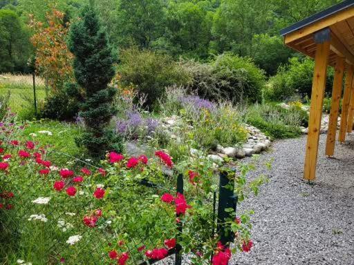Gite la Fargue de Cabre Val-de-Sos Extérieur photo
